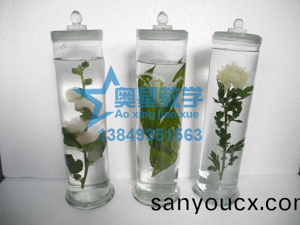植物(wu)學(xue)標本廠傢：處理植物標本的註意事(shi)項