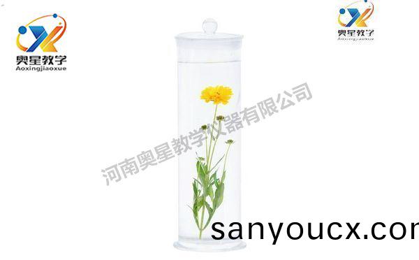 標本