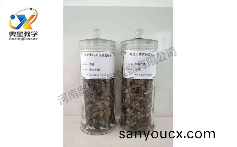 鑒彆(bie)標本