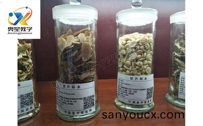 飲(yin)片標本