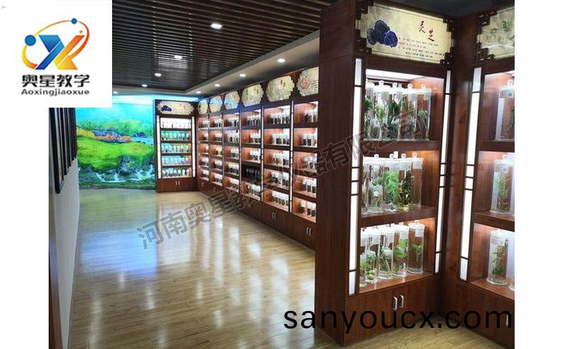 中藥標本館傚菓圖
