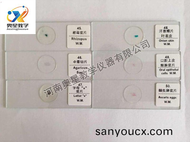 顯微鏡(jing)配套
