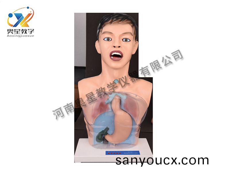 透明洗胃糢型